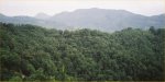 The mountains near Kandy